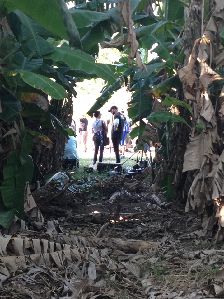 HAVANA – PART 2 – “Action”